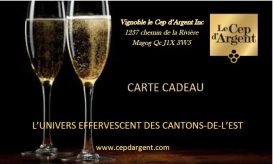 Carte cadeau (appelez nous pour commander)